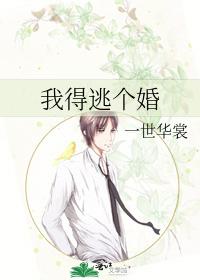 我得逃个婚