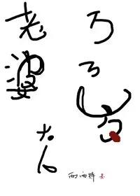 老婆大人万万岁