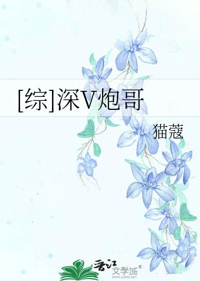 [综]深V炮哥