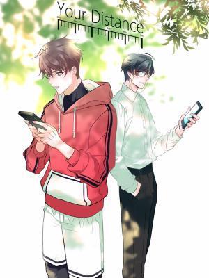 你的距离